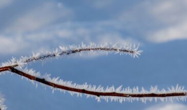 Архипов день: одна примета 4 марта, которая определит ваш урожай и достаток