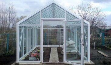 Теснота в теплице убивает урожай: одна схема посадки, которая удвоит сбор томатов и огурцов