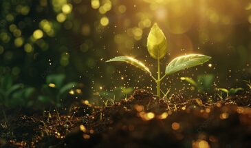 Март на подоконнике: один пропущенный срок посева, который лишит вас урожая летом