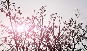 Снег исчезнет за неделю: синоптики назвали точные даты, когда центр России окончательно простится с зимой