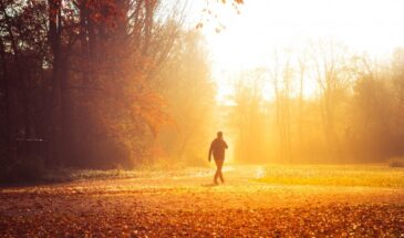 Ходьба вместо таблеток: одна привычка, которая снижает риск инфаркта и деменции, хотя вы просто гуляете