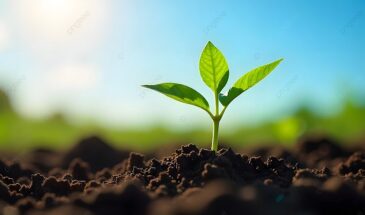 Что сеять в марте в открытый грунт: 5 культур для сверхраннего урожая