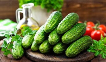 Хрустеть огурцами в июне? Реально! 7 сортов, которые дадут урожай раньше соседей