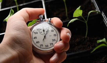 Март диктует правила: 7 срочных дел на даче с 9 по 15 марта