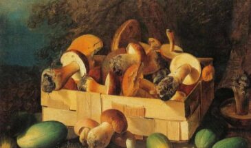 Грибы с глазами: тайна рязанской поговорки, которую все повторяют, но никто не понимает