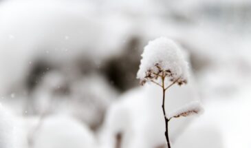 Что категорически нельзя делать 10 марта 2026 года: опасные запреты на Тараса Бессонного, которые могут навлечь беду