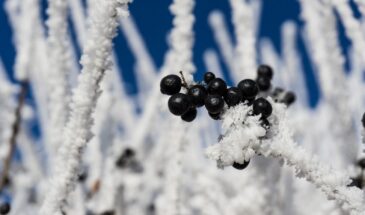 Почему 11 марта нельзя жениться: опасная примета, которая может разрушить любовь