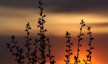 «Тёплый март — холодный май»: народная примета, которая предупредит о поздних заморозках — дачникам на заметку