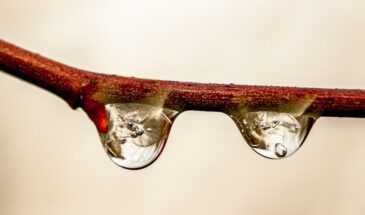 Василий Капельник: 13 марта нельзя подметать — приметы, которые решат ваше лето