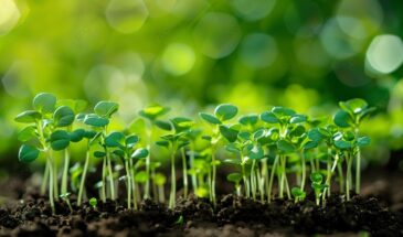 Срочно на подоконник! Что нужно посеять до 20 марта, иначе останетесь без урожая