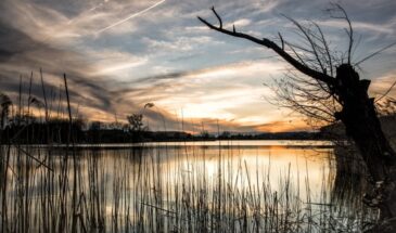 15 марта — Федот Ветронос: одна ошибка и деньги утекут, а урожай пропадёт — народные приметы