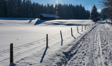 Евтропиев день, 16 марта: ворона в снегу чистит перья — примета, которая предскажет всю весну