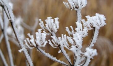 Феофанов день: три признака, которые укажут на ненастное лето — приметы 25 марта, которые сбываются