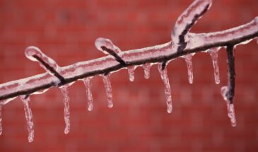 27 марта: что можно и нельзя делать в Венедиктов день — приметы и традиции