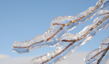 26 марта: один запрет, который спасёт от беды, и ритуал для вечной молодости — народные приметы на Никифоров день