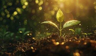 Что сеять и сажать в апреле: план работ для дачника на весь месяц