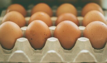 Лотки от яиц на даче: как сделать клумбу без разметки и лишних затрат