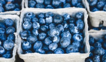 Клубника и голубика ведрами: чем подкормить весной, чтобы ягоды были крупными — секрет за одну ложку