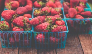 Подкормка клубники до цветения: 5 «атлантов» для урожая, от которого в глазах пестрит