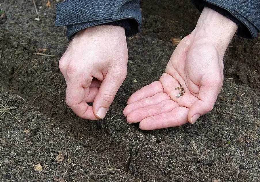 Грядки в апреле: 3 простых способа сохранить влагу и тепло для раннего урожая
