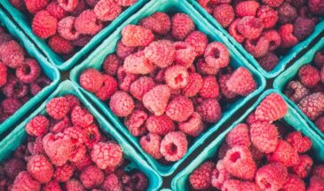 8 секретов выращивания малины в 2026: как получить урожай с головы до ног