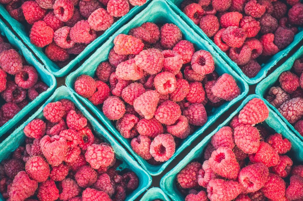 8 секретов выращивания малины в 2026: как получить урожай с головы до ног