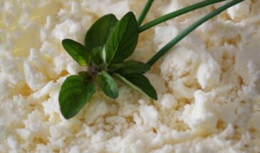 Творог: польза, вред и правила выбора продукта для здорового рациона