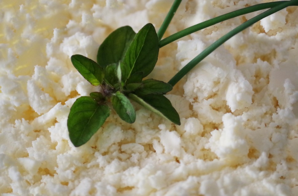 Творог: польза, вред и правила выбора продукта для здорового рациона