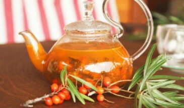 Облепиховый чай: ягоды или листья — что полезнее и как правильно заваривать