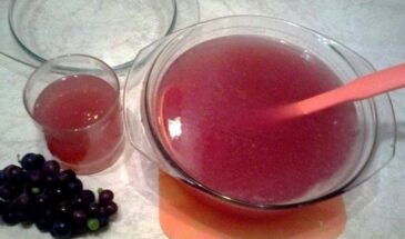 Кисель и изжога: почему «лекарство для желудка» может навредить и как пить его без последствий