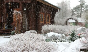Весна на даче: 5 скрытых угроз, которые погубят урожай, если не проверить участок прямо сейчас