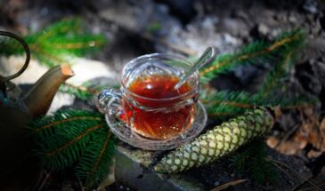 Хвойный чай вместо обычного: что случится с организмом через неделю — эффект удивит