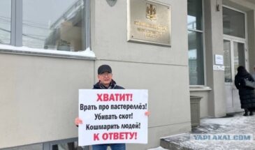 Вдове бойца, погибшего на СВО, угрожают чиновники, если она не позволит уничтожить свой скот: хроника уничтожения русского села