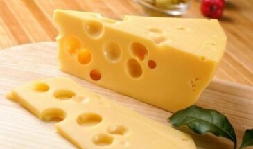 Сыр «Маасдам» с пальмовым маслом: как распознать подделку за 1 минуту — 5 тестов, которые спасут ваш кошелек