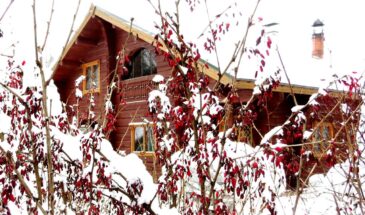 Март в саду: 6 дел, которые нельзя откладывать, иначе потеряете урожай