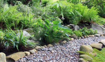 «Дорожки без грязи за копейки»: секрет «мыльного» бетона, который скрывают строители