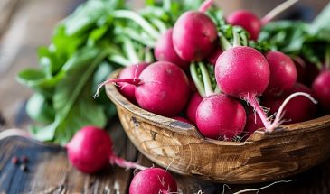 Редис: одна ошибка с поливом — и он горчит, а одна хитрость — и сладость как мёд