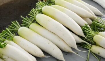 Три культуры, о которых молчат соседи: растут сами, а урожай — как с картинки