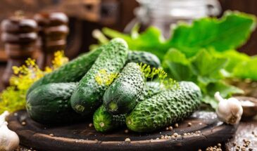 Огурцы без пустоцветов: 5 гибридов, которые дают урожай даже в прохладное лето
