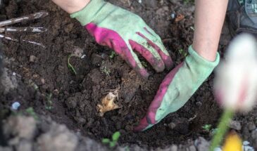 После Пасхи — когда можно работать с землёй, чтобы не нарушить традиции и не упустить урожай