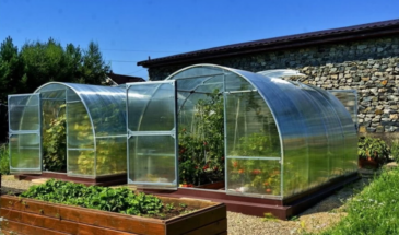 Теплица на даче: одна деталь, которая превращает парник в нарушение — и грозит штрафом