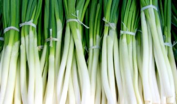 «Не кормите лук этим!»: 3 удобрения, которые губят урожай, а не помогают