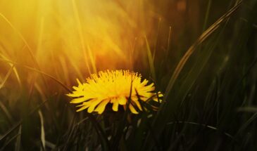 12 апреля: примета, которая предупреждает о холодном лете — день Ивана Лествичника