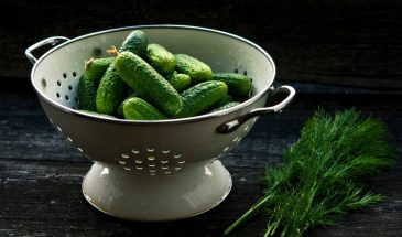 Секрет сахарного огурца: один копеечный трюк в теплице, который сделает плоды невероятно сладкими