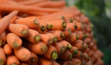 Эффективные способы посева моркови: один трюк с киселём гарантирует дружные всходы