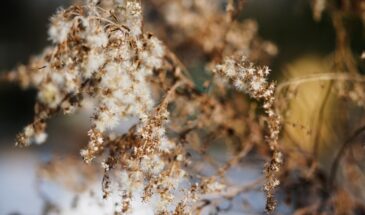 Уникальная примета 13 апреля: что нельзя делать в день Ипатия Чудотворца — ответ, который удивит