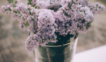 Букет вянет за 3 дня? 12 ошибок, которые убивают цветы — и как их исправить