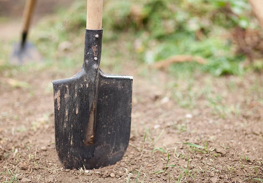 Хороводница: почему в этот день нельзя копать грядки и что делать вместо этого