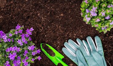 Светлая седмица: в эти дни ничего не сейте — строгий запрет лунных календарей