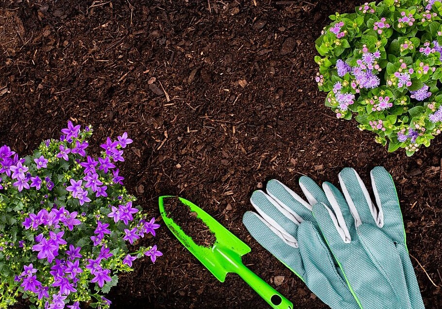 Светлая седмица: в эти дни ничего не сейте — строгий запрет лунных календарей